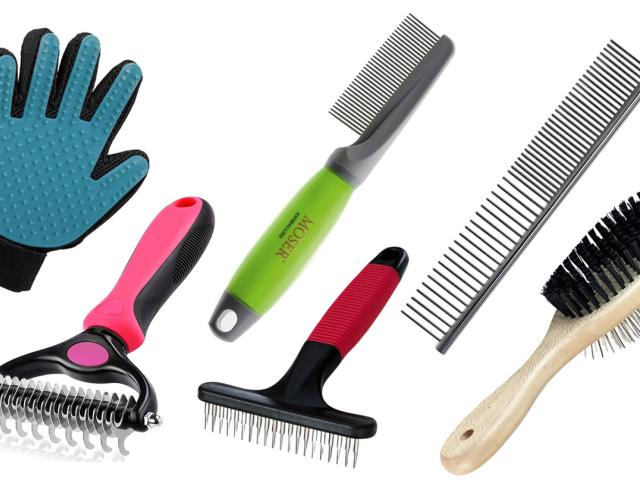 dog brushes and combs